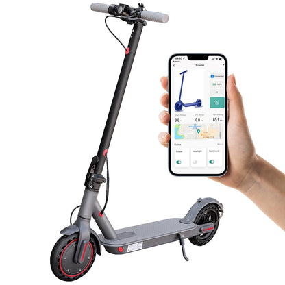 LADPED Electric Scooter